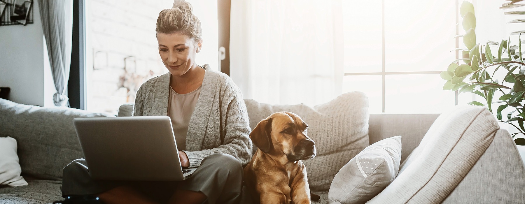 woman sitting with dog while on laptop